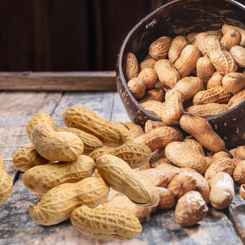 Roasted Peanuts with Shell/ Moongphala (500g)